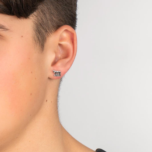 Örhängen 1 st Silver rodiumpläterad Ko