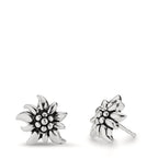 Örhängen med knoppar Silver patinerad Edelweiss Ø9 mm