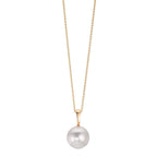 Halsband 585/14 K gult guld