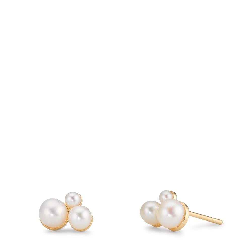 Örhängen med knoppar 375/9 K gult guld Sötvattensodlad pärla, 6 Pärlor 2-4 mm