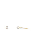 Örhängen med knoppar 375/9 K gult guld glänsande pärlor, 2 Pärlor 2-2.5 mm