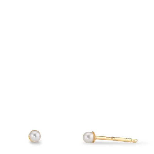Örhängen med knoppar 375/9 K gult guld glänsande pärlor, 2 Pärlor 2-2.5 mm